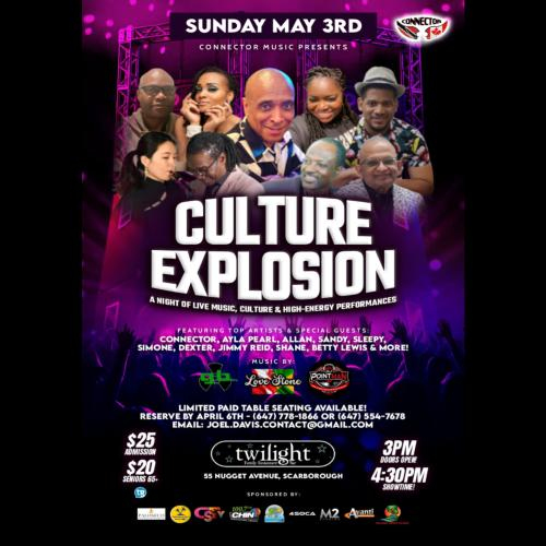CULTURE EXPLOSION